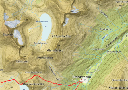 OMRINGET: Flere, mer besøkte og kjente fjell ligger i umiddelbar nærhet av Litjgladnebba. Sånn som for eksempel Skjorta.