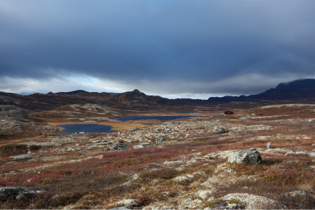 VÆRTEGN: En mørk himmel en ellers fin høstdag, gjør de fleste litt kjappere til beins. Foto: Sandra Lappegard